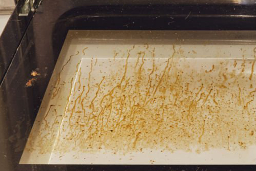 Won Day Website in a Day for HVAC, Electricians, Roofers, Plumbers and More